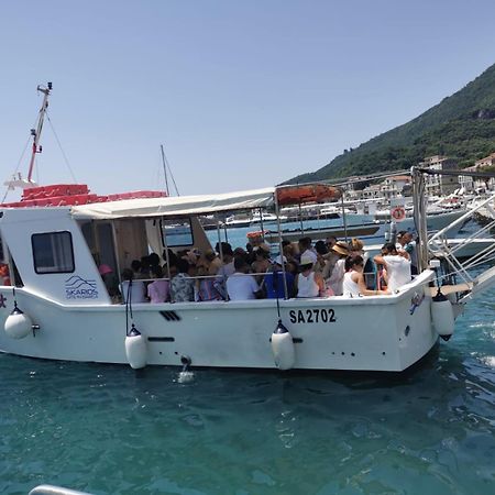 Nennella Cilento House Apartment Cuccaro Vetere Bagian luar foto