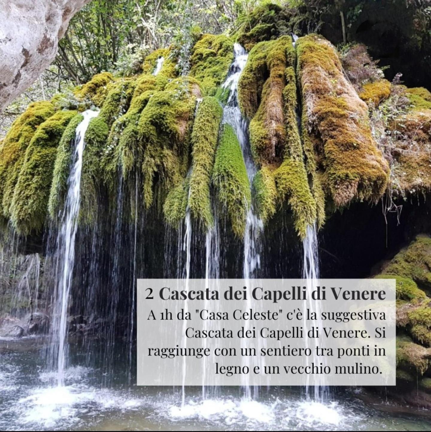 Nennella Cilento House Apartment Cuccaro Vetere Bagian luar foto